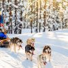 LAPLANDIJA 5 D. (autobusu ir lėktuvu) LIETUVIŲ KALBA