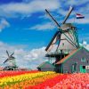 Belgija – Olandija (8 d.), aplankant gėlių parką „Keukenhof“ ir gėlių paradą (skrydis iš Rygos į Kelną)