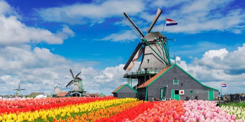 Belgija – Olandija (8 d.), aplankant gėlių parką „Keukenhof“ ir gėlių paradą (skrydis iš Rygos į Kelną)