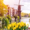 VOKIETIJA - BELGIJA - OLANDIJA su galimybe apsilankyti gėlių parke „Keukenhof“
